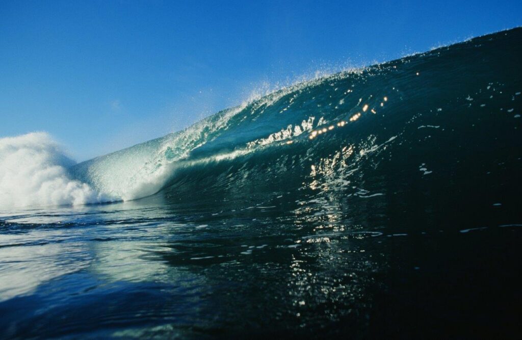 Big Rock Barrel 2001